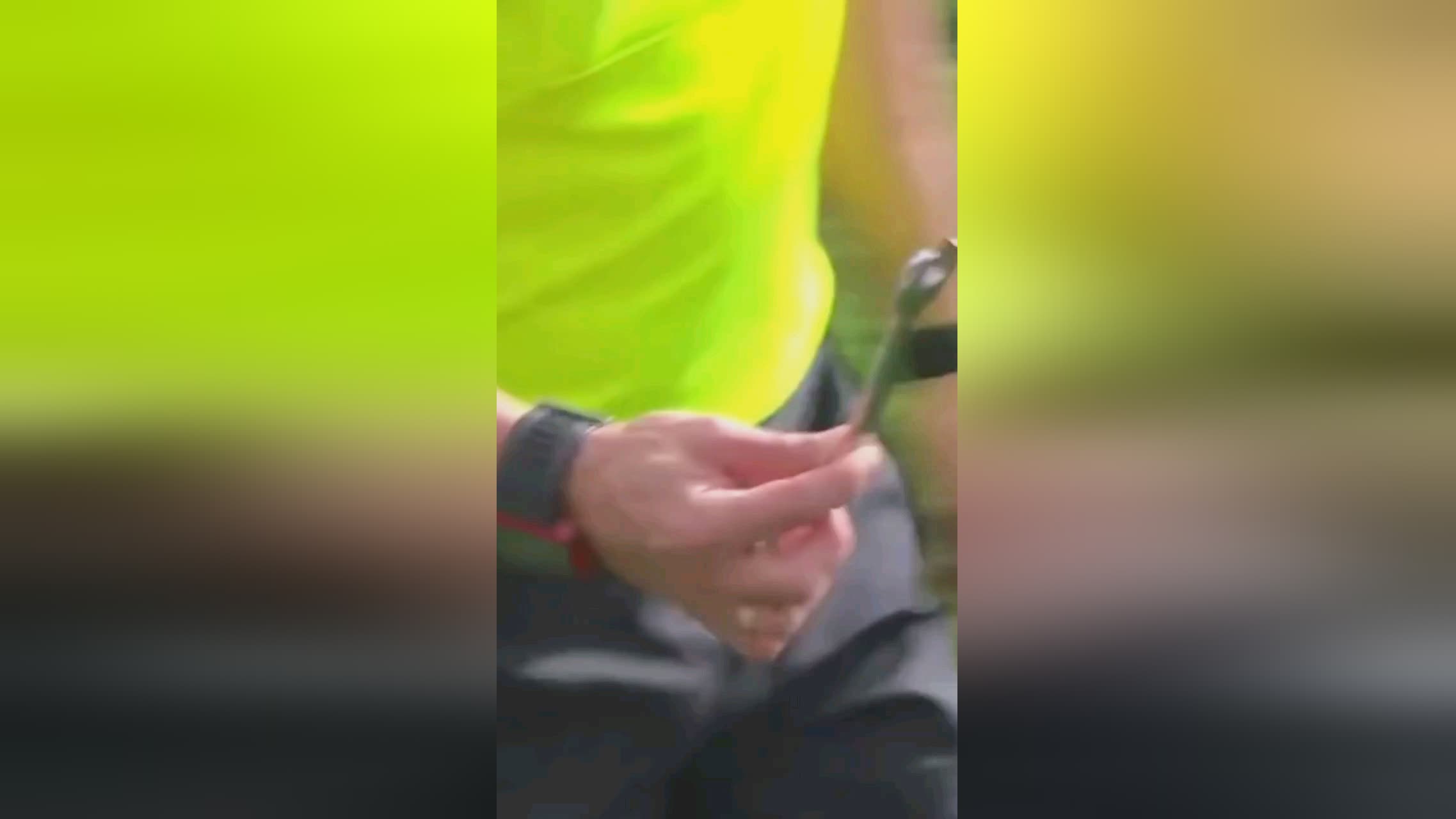 第分钟霍芬